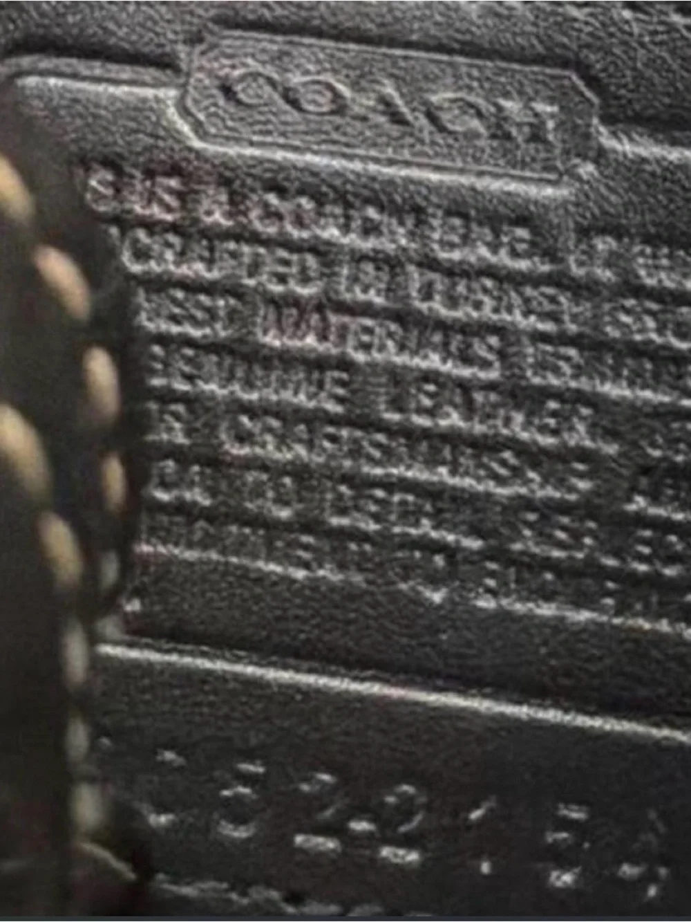 Coach hobo silhouette